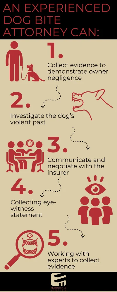 an experienced dog bite attorney