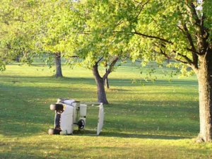 Golf Cart Accident