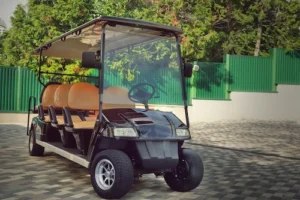Hardeeville Golf Cart