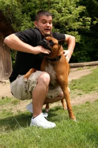Walterboro Dog Bite Lawsuit
