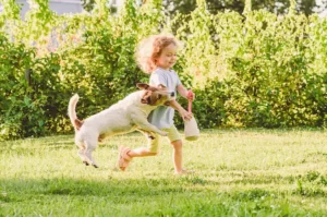 Little girl getting dog bite injury